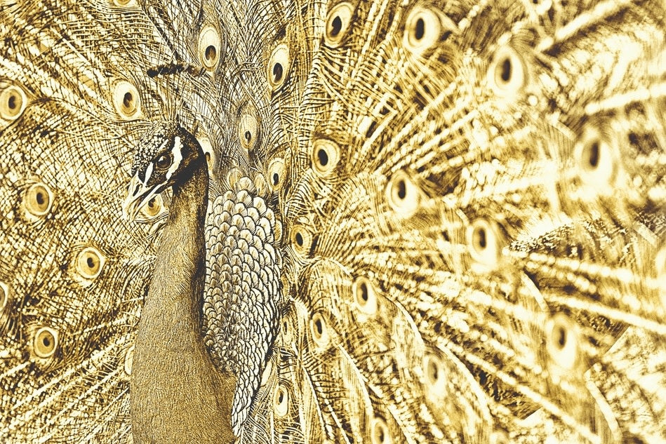 Schilderij 'Gouden Pauw'