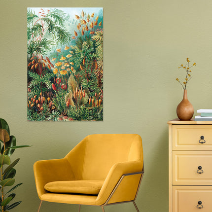 Aluart schilderij 'Muscinae Ernst Haeckel'