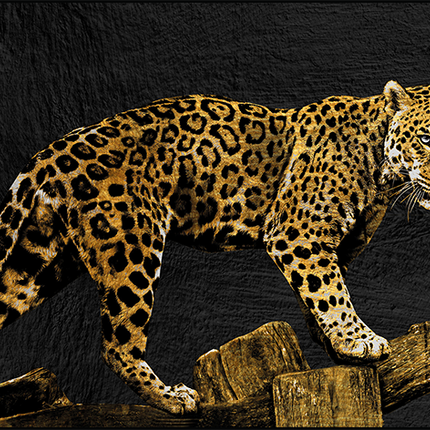 Ingelijste glasschilder 'The panter'