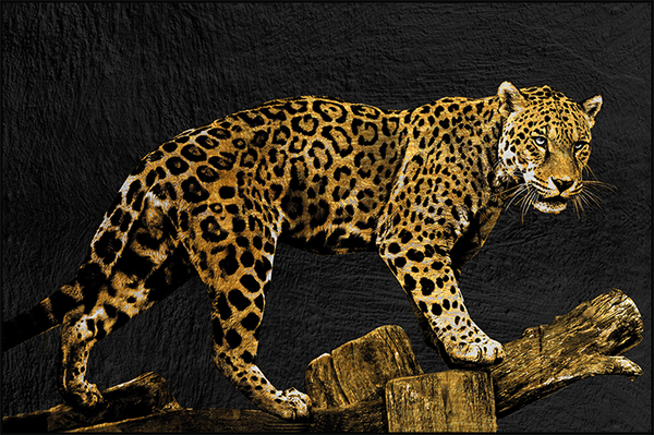 Ingelijste glasschilder 'The panter'