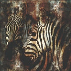 80 x 80 cm