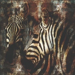 Aluart schilderij 'Zebra's'