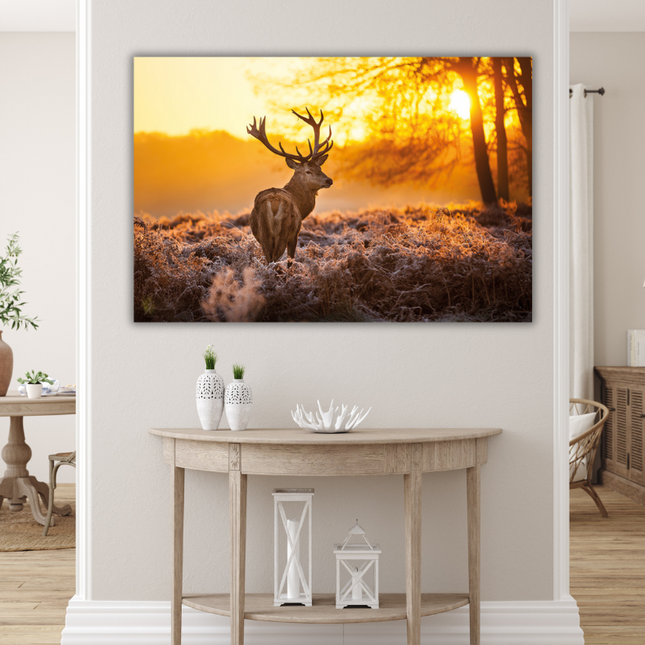 Aluart schilderij 'Deer in Morning Sun'