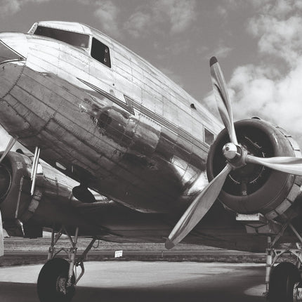 Aluart schilderij 'DC-3 in airfield'