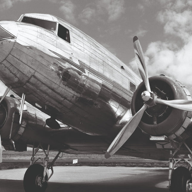 Aluart schilderij 'DC-3 in airfield'