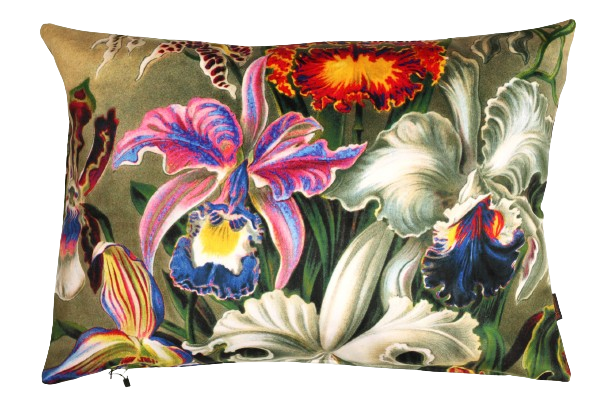 Sierkussen 'Orchideeën'