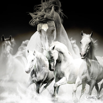 Aluart schilderij 'Vier paarden'