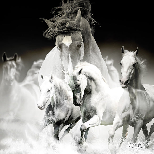 Aluart schilderij 'Vier paarden'