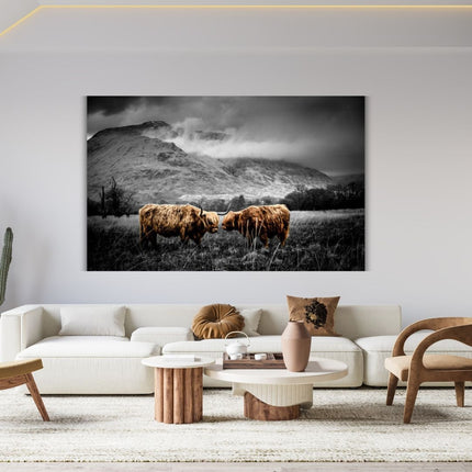 Aluart schilderij 'Schotse hooglanders in de natuur'