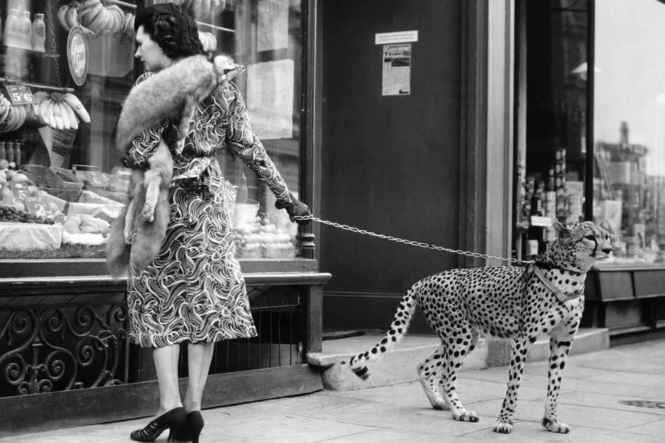 Schilderij 'Woman With Cheetah'
