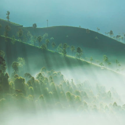 Aluart schilderij 'Landschap West-Ghats-India'