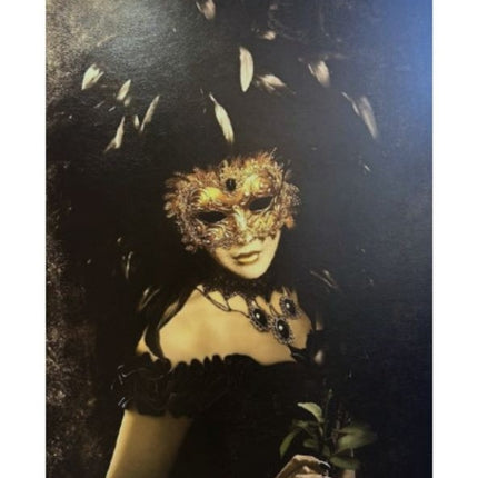 Leather dibond 'De gemaskerde vrouw'