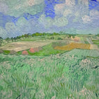 60 x 80 cm