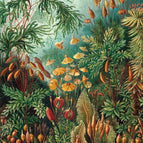 60 x 80 cm