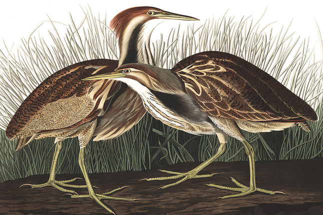 Wandkleed 'Vogels in de natuur'