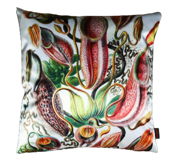 Sierkussen 'Nepenthes'