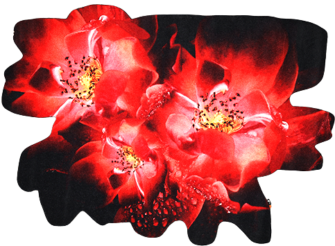 Mondiart vloerkleed 'Red flowers'