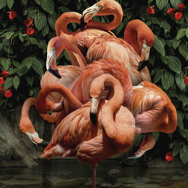 Aluart schilderij 'Flamingo'