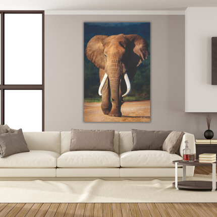 Aluart schilderij 'Afrikaanse Olifant'
