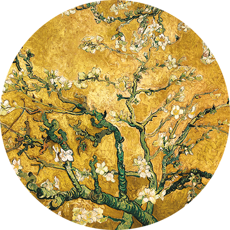 Wandkleed cirkel 'Vincent van Gogh Yellow Blossom'