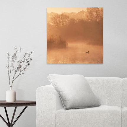 Aluart schilderij ‘Early swim’
