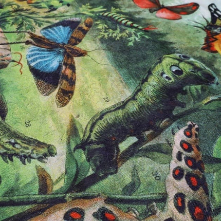 Mondiart vloerkleed 'Insecten tuin'