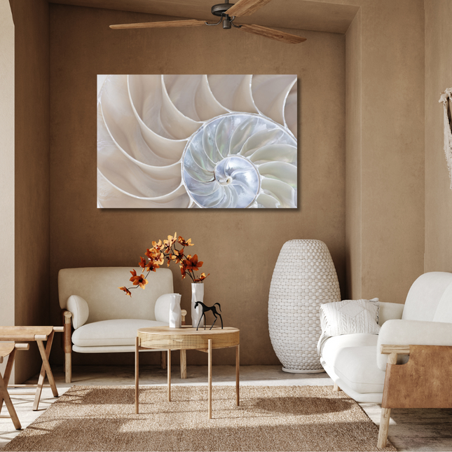 Aluart schilderij 'Half Shell Nautilus'