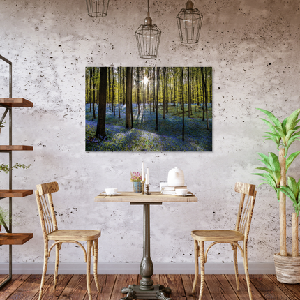 Aluart schilderij 'Hallerbos'