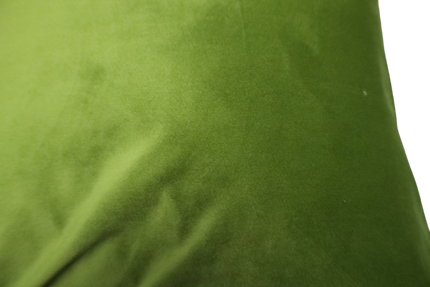 Sierkussen 'Parrot green'