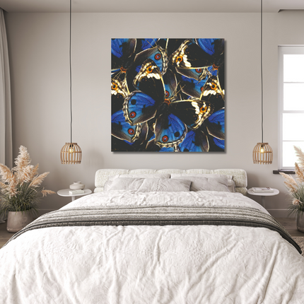 Aluart kunstwerk 'Blue and Black Butterflies'