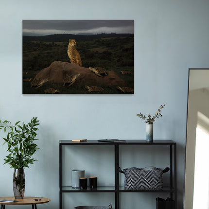 Aluart schilderij 'Cheetah met schildpadden'
