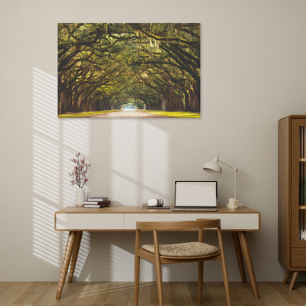 Aluart schilderij 'Wormsloe State Historic Site'