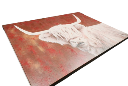Canvas schilderij 'Schotse hooglander'