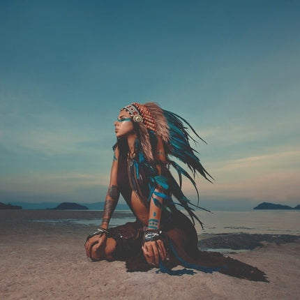 Aluart schilderij ' The Indian woman'