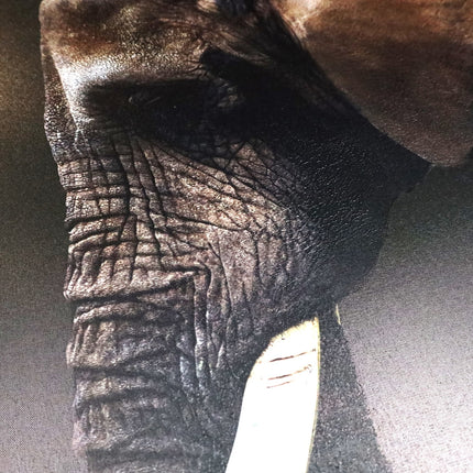 Canvas schilderij 'Dark Elephant'