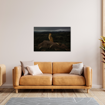 Aluart schilderij 'Cheetah met schildpadden'
