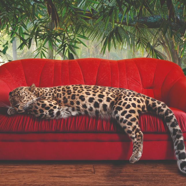 Aluart Schilderij 'Leopard on a sofa'