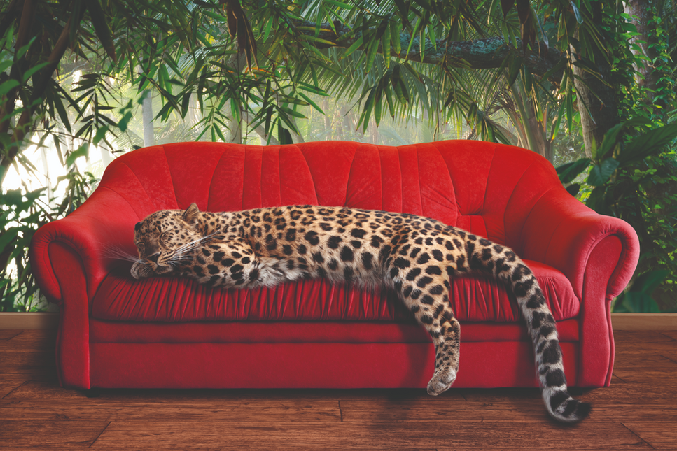 Schilderij 'Leopard on a sofa'
