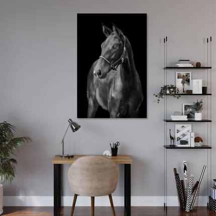 Aluart schilderij 'Black Beauty'