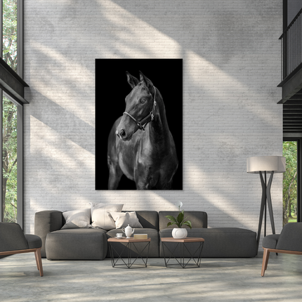 Aluart schilderij 'Black Beauty'