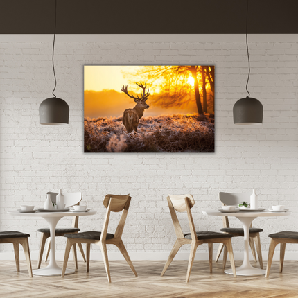 Aluart schilderij 'Deer in Morning Sun'