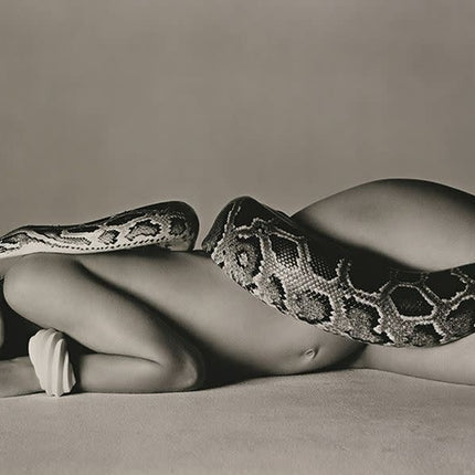Aluart schilderij 'Nastassja Kinski The Serpent'