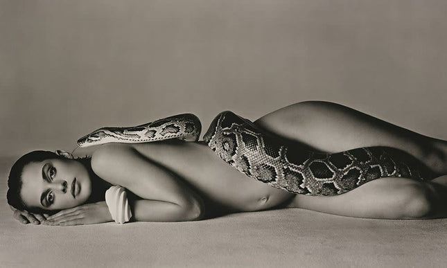 Aluart schilderij 'Nastassja Kinski The Serpent'