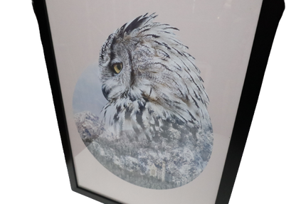 Ingelijste poster 'De uil'