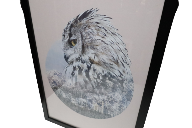 Ingelijste poster 'De uil'