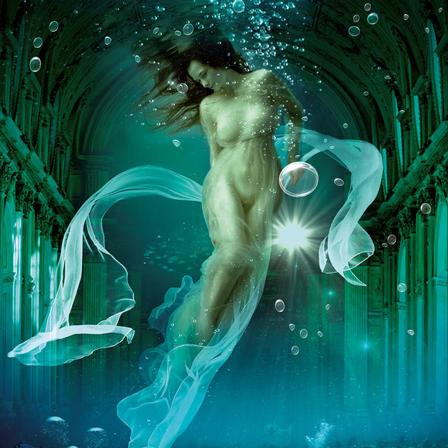 Aluart schilderij 'Yan Watershoot'