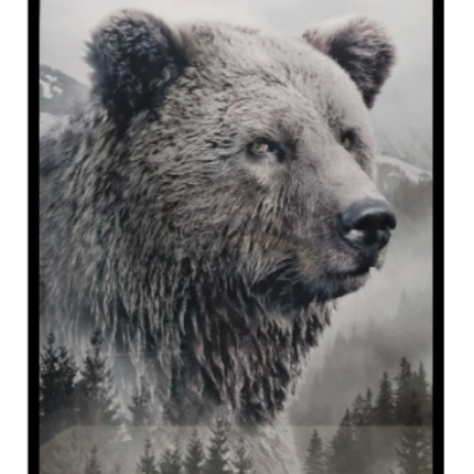 Ingelijste poster 'De beer'