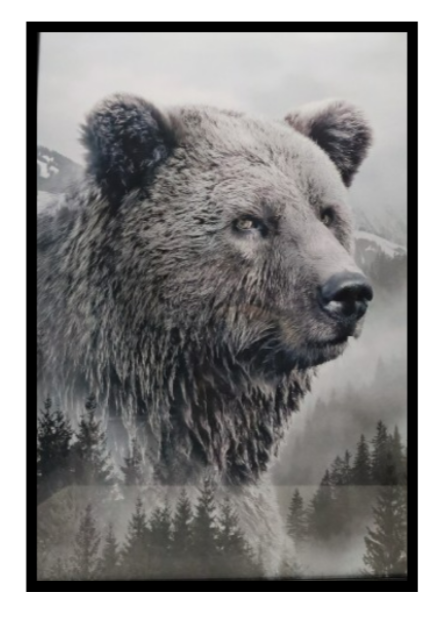 Ingelijste poster 'De beer'