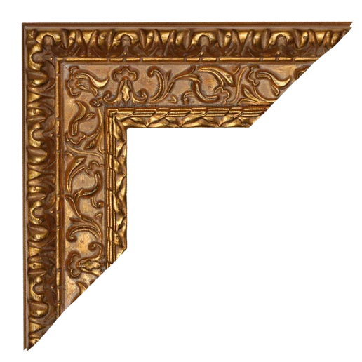 Lijst 'Nova'