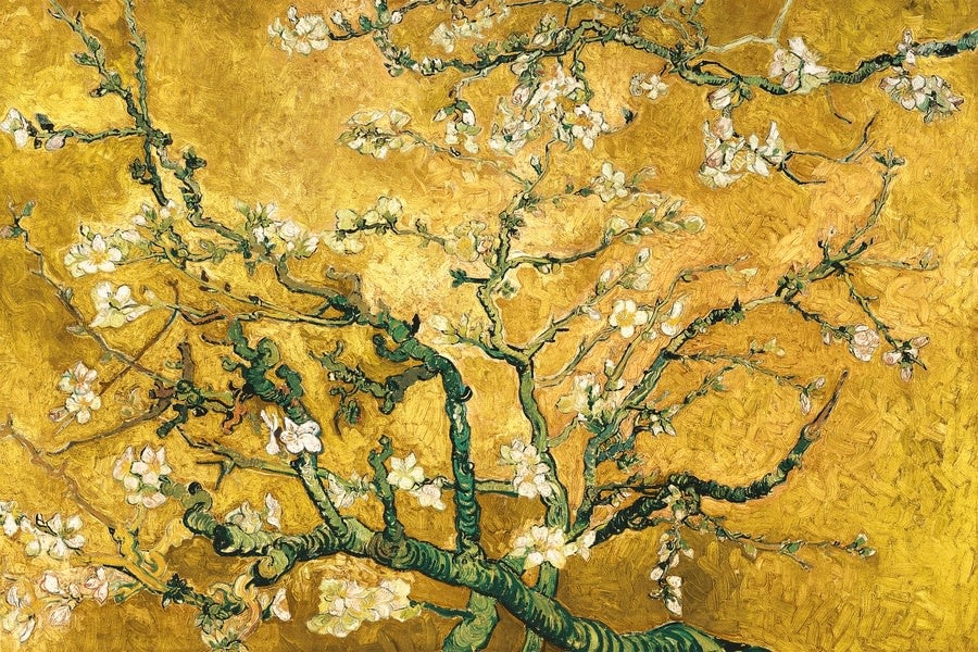 Schilderij 'The Amandelbloesem'